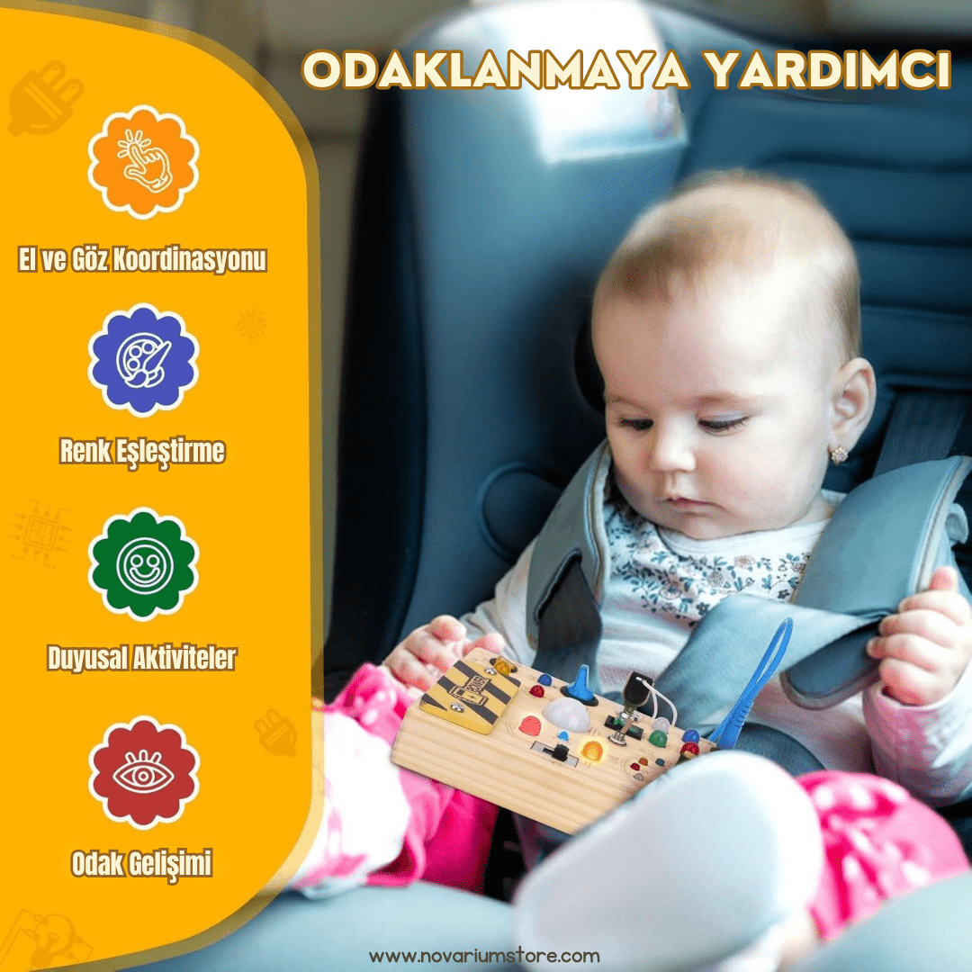 Montessori Ahşap Keşif Panosu